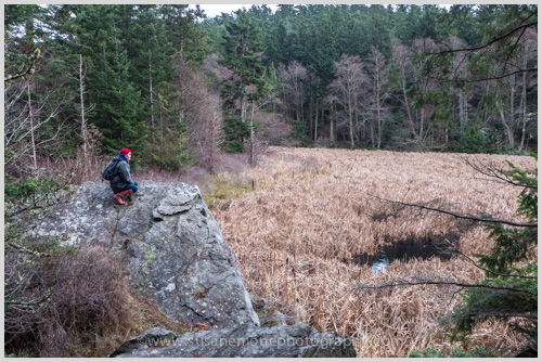 Watmough Bay, Lopez Island