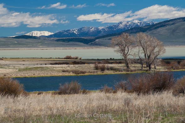 Shambow Pond and Upper Red Rock Lake