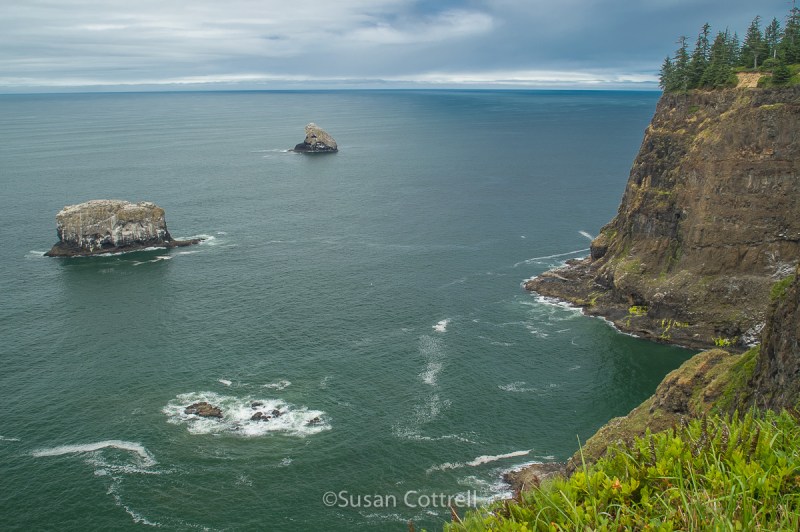 Cape Meares NWR, OR