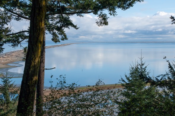 On the bluff with the Dungeness Lighthouse a speck in the distance