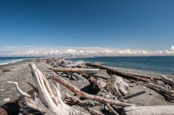 Not much room on Dungeness Spit to get away from a giant wave