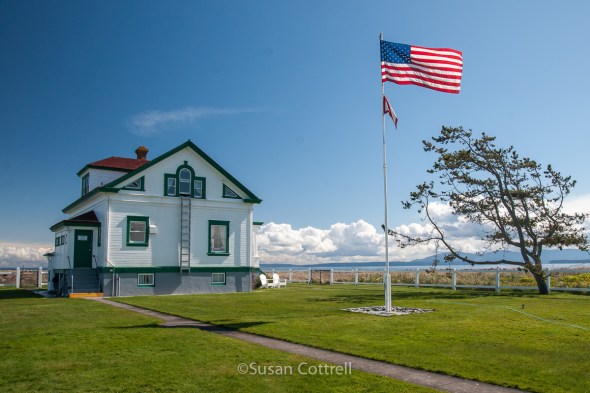 Green Grass way out here around the Dungeness Lighthouse