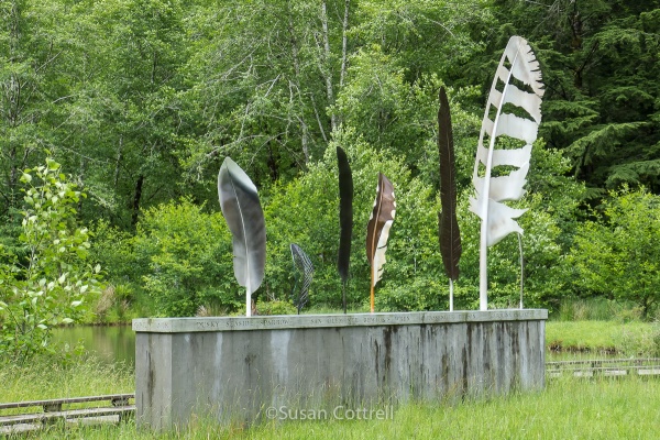 I loved these feathers on the Art Trail at Willapa National Wildlife Refuge