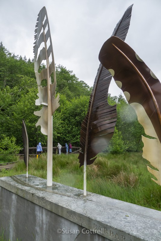 I loved these feathers on the Art Trail at Willapa National Wildlife Refuge