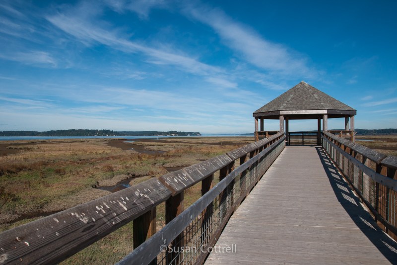 Boardwalk at Nisqually National Wildlife Refuge