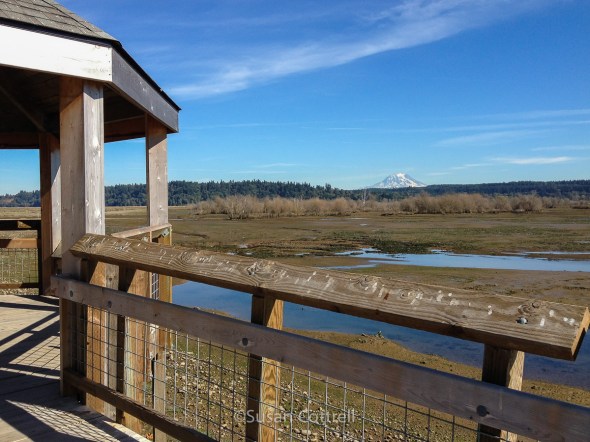 Nisqually National Wildlife Refuge