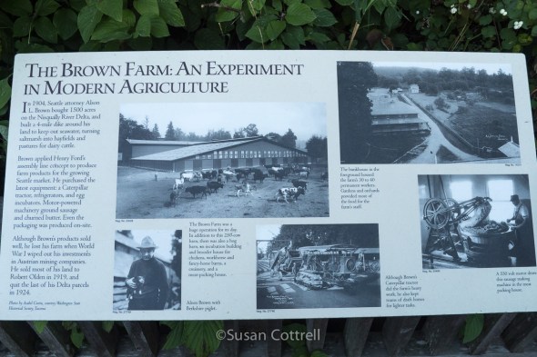 Nisqually National Wildlife Refuge