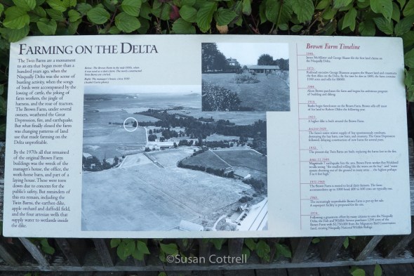Nisqually National Wildlife Refuge
